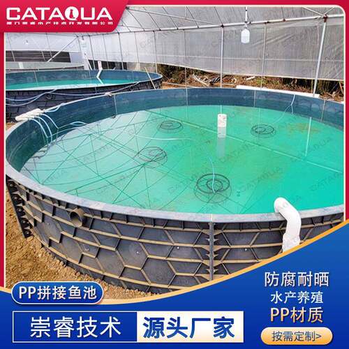 工厂化高密度循环水产养殖PP塑料拼接鱼盆大容量养殖鱼池