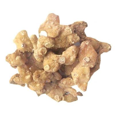 新鲜黄精个500g克秦岭黄精个泡茶泡水两用黄精新鲜采挖黄精可种植