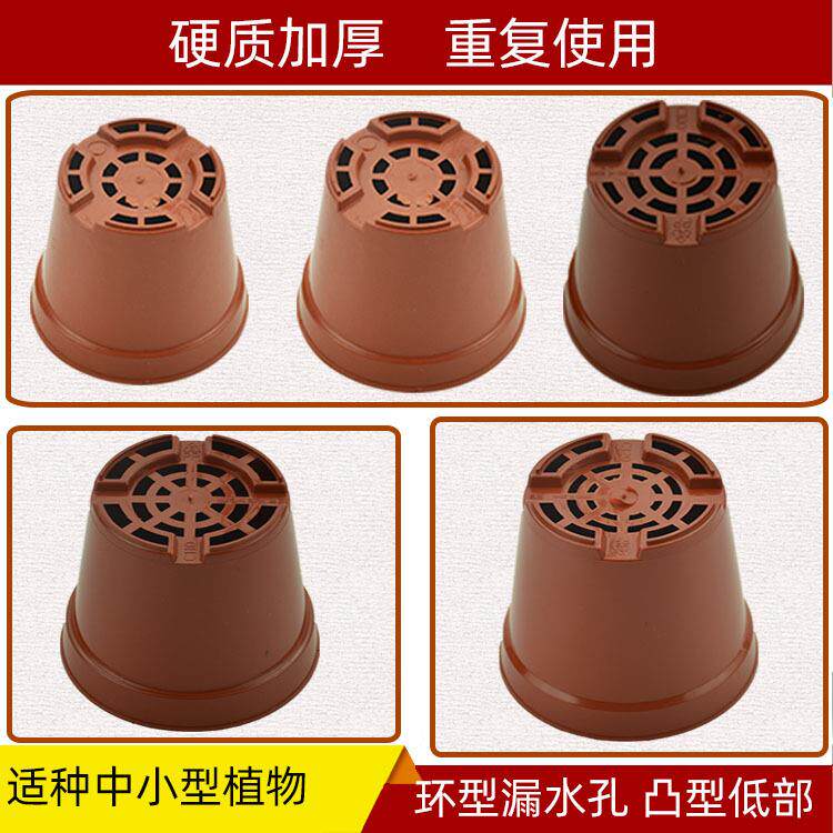 C育苗型营养植杯圆形钵塑料花盆栽绿植8-15培供棕色盆[厂价大量直