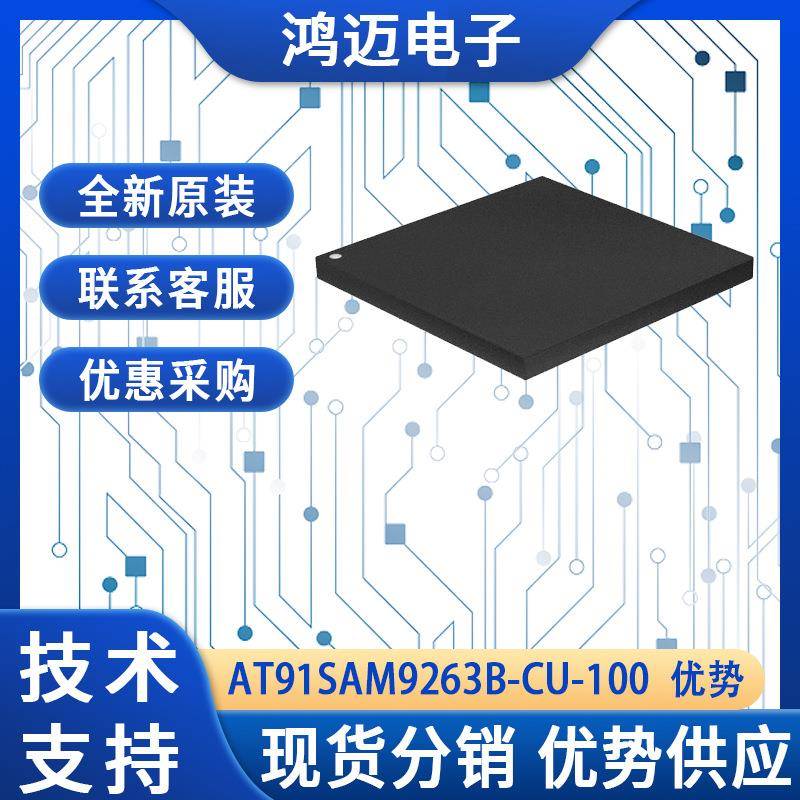 AT91SAM9263B-CU-100单片机 导航系统工业控制MPU单片机 渠道 - 实物图