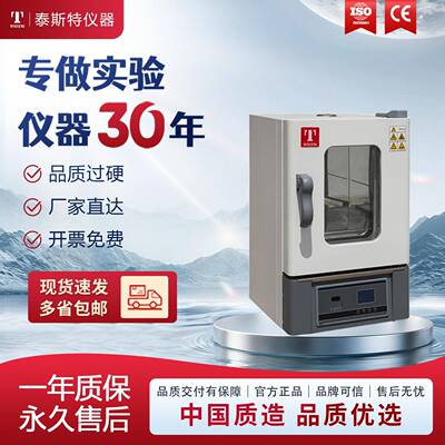 WHL-65B实验室小型烘箱数显微电脑控制干燥箱