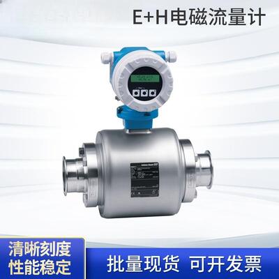 Endress+Hauser电磁流量计DN50 25 80口径现货涡街汽液体测量仪表