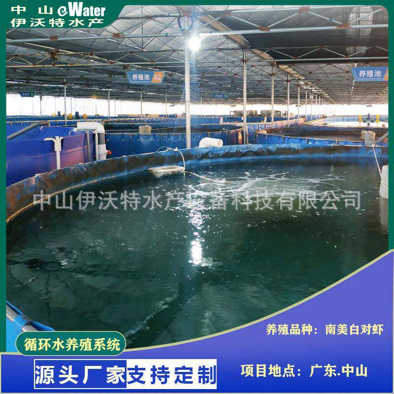海淡水养殖系统鱼虾水产养殖整套方案室内净水循环水处理养殖系统