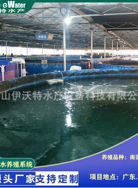海淡水养殖系统鱼虾水产养殖整套方案室内净水循环水处理养殖系统