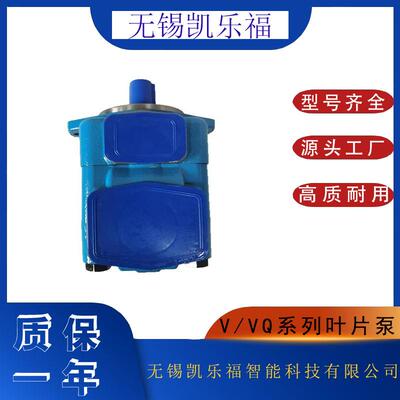注塑机油泵220VQ6A-1A30R引风机叶片泵厂家20VQ5A-1B30L