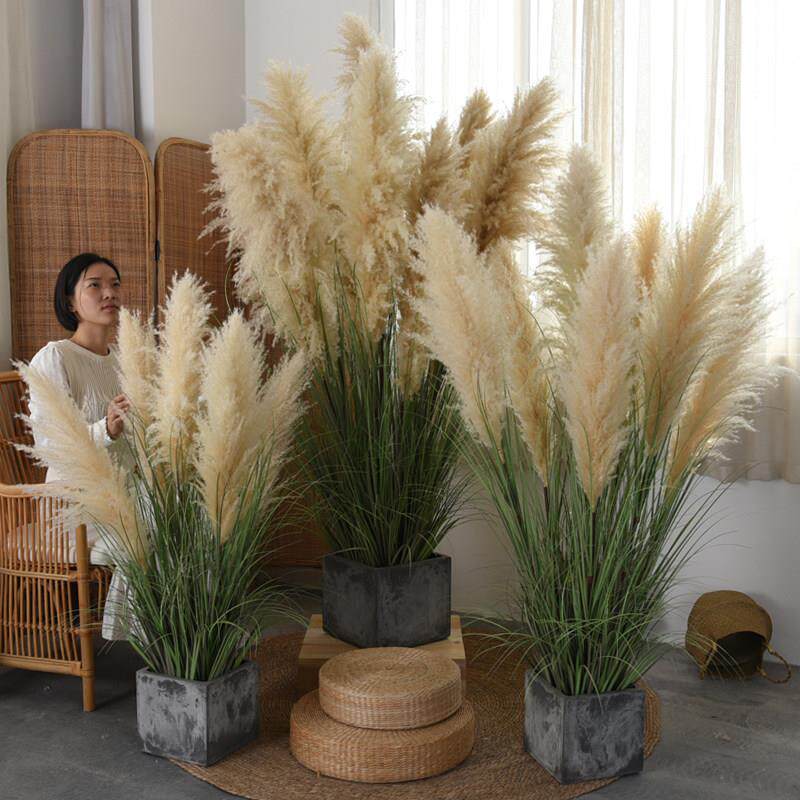 彷真绿色植物芦苇大蒲苇盆栽彷生植物干 干燥花摆件室内橱窗落地