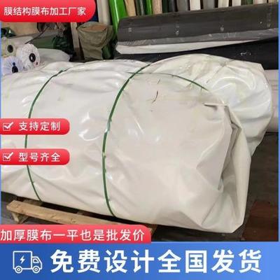 小区电动车车棚PVDF膜布汽车停车棚大梁膜结构停车棚PVC张拉膜材