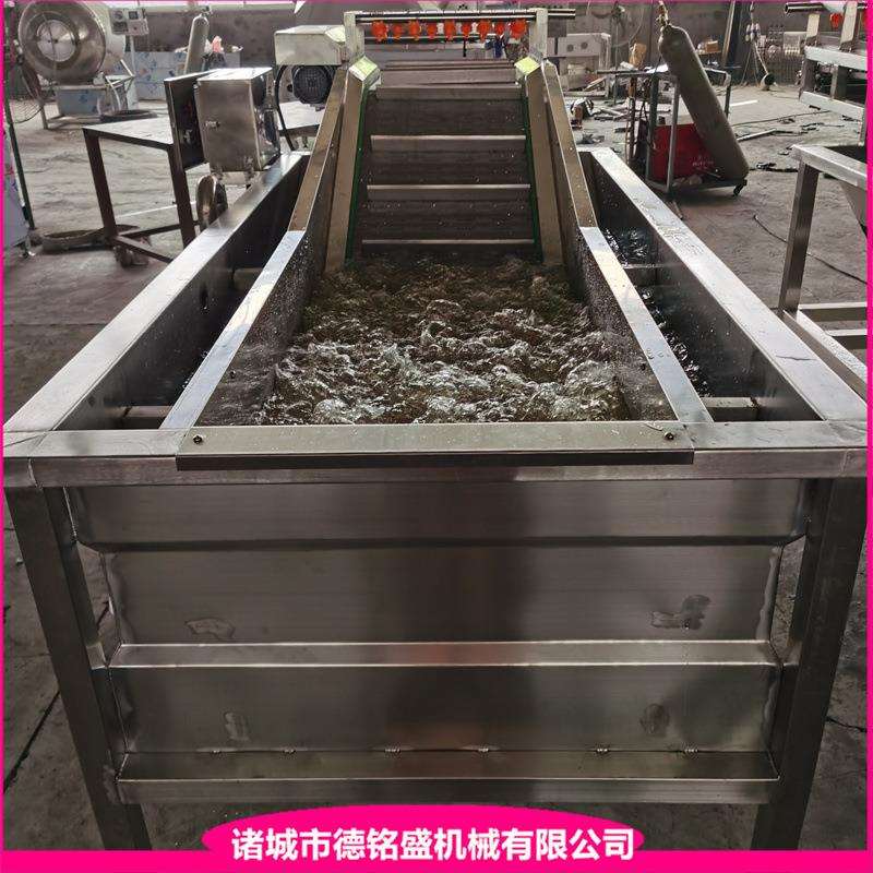 挂冰流水线 黄花鱼刀鱼段挂冰机 叶类瓜果蔬菜清洗流水线