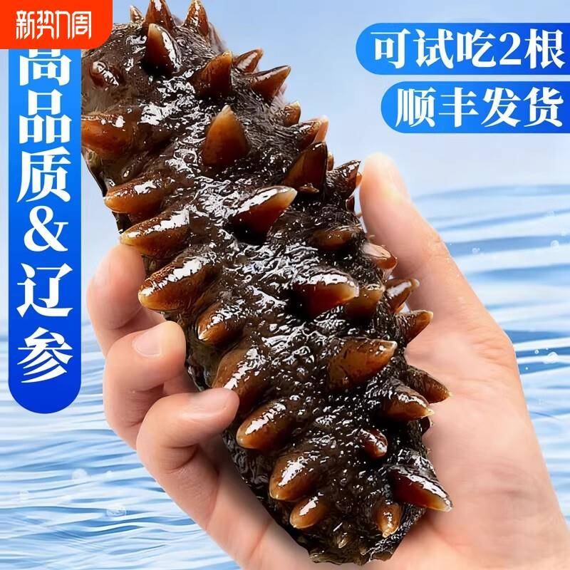 大连海参即食独立包装袋辽参刺参海渗鲜活海鲜礼盒官方经营店水产