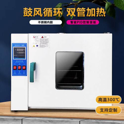 东莞智能全自动热风循环鼓风干 干燥箱实验电热高温恒温烤箱工业