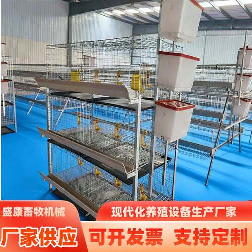 立式多层叠式肉鸡笼子防夹防跑小鸡笼畜牧农用带清粪托盘肉鸡笼