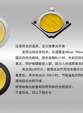 光谱植全物生长龟KYL背竹花烛生蔓绿绒热植补光灯室内盆栽灯促长