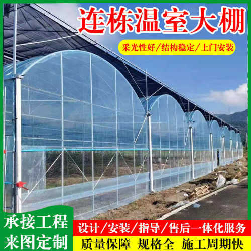 连栋温室大棚厂家智能外遮阳内保温蔬菜大棚骨架薄膜简易连栋大棚