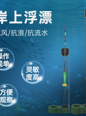 钓鱼竿上浮钓鱼两用电子斩浪浮漂