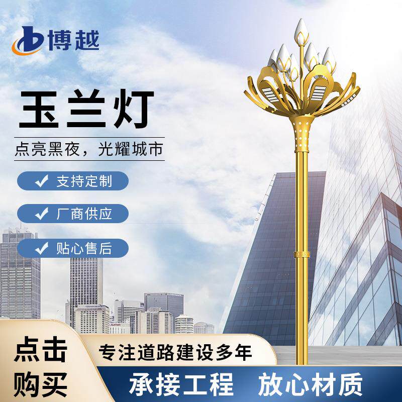 预制led户外广场公园道路玉兰道路灯具/智慧路灯/