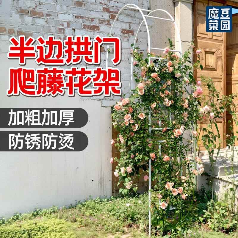 边拱门花架爬藤园艺藤本月季葡萄架形架半子支拱半边拱门撑攀爬支