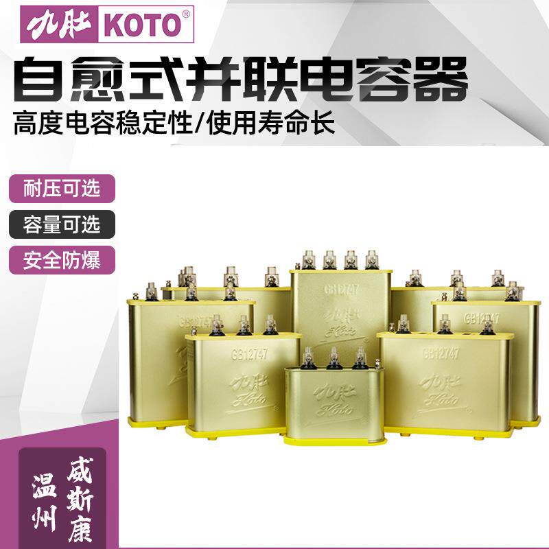 厂家直销 九肚电容器 管道型电力电容器BSMJWX0.4-30-3