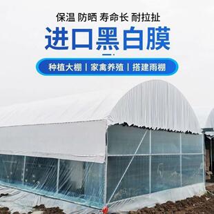 黑白塑料布加厚黑白食用菌绿养殖膜膜防晒膜反光隔热膜大棚白