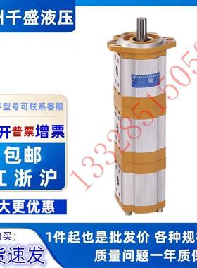 合肥长源CBTSL-F08/F308/F303-AFφ三联CBTSL-F310/F泵310/3F305