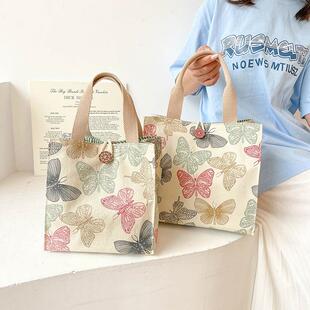 手提袋布袋网红妈妈包送饭兜子大容量可放水杯上班族带饭帆布饭盒