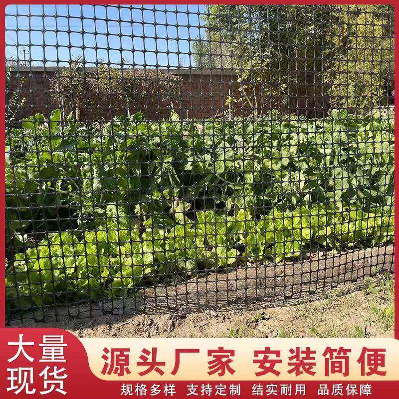 塑料养殖网大棚防护网漏粪塑料网圈玉米围栏网菜地网格拦鸡网家用