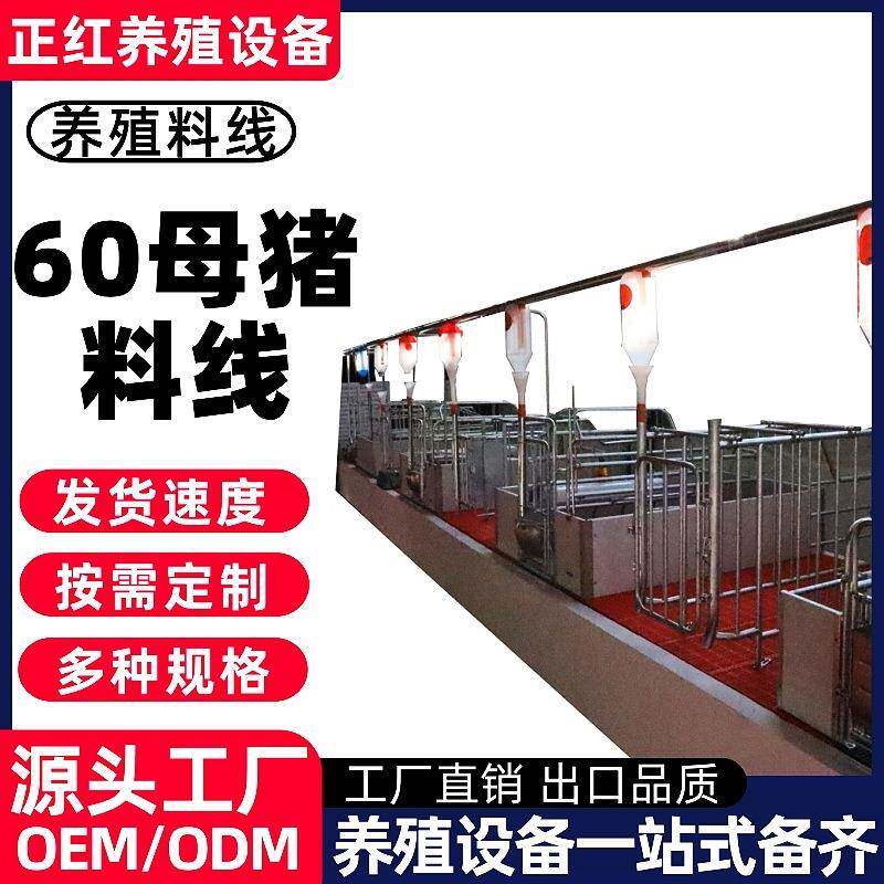 正红养殖设备养殖场猪场60母猪料线猪场养殖全自动母猪料线