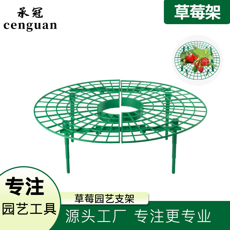 太阳花严选厂家草莓园艺用品套装