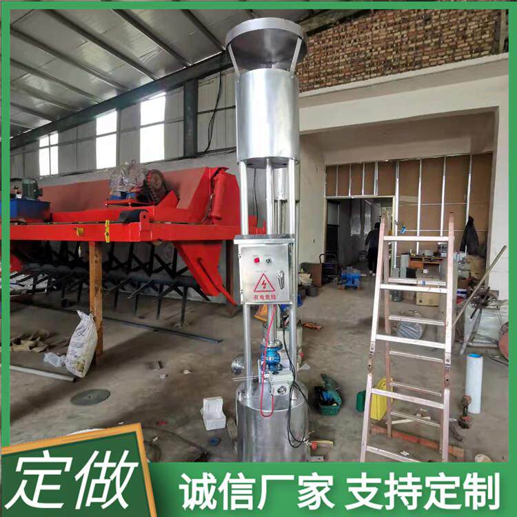 小型简易沼气火炬高度养殖场沼气排放燃烧火炬安装原理图纸设计