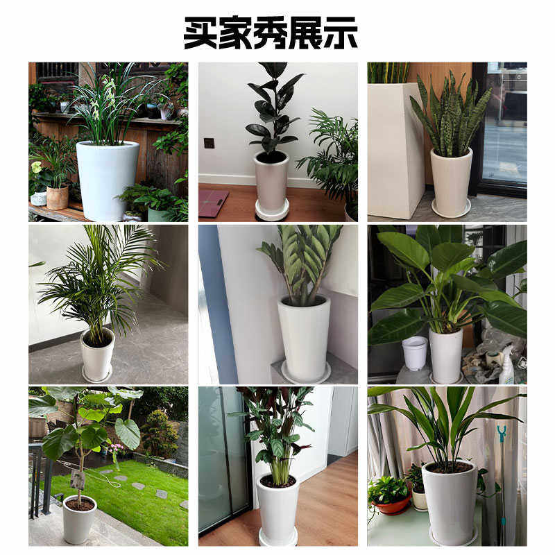 花盆陶瓷特大号种花白色家用简约客厅金钱树虎皮兰幸福树花瓶,鲜花速递/花卉仿真/绿植园艺,花盆,淘宝优惠券,粉丝福利购,淘宝优惠卷