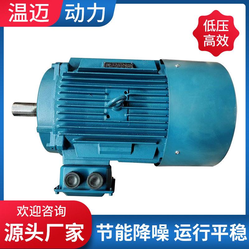 全铜机芯一体成型永磁同步直驱电机精度工业精度永磁电机厂家