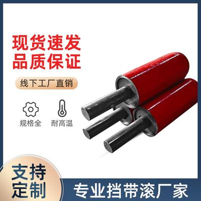 立辊定制输送带防跑偏轮传送机皮带挡辊压边轮带丝滚筒挡轮托辊
