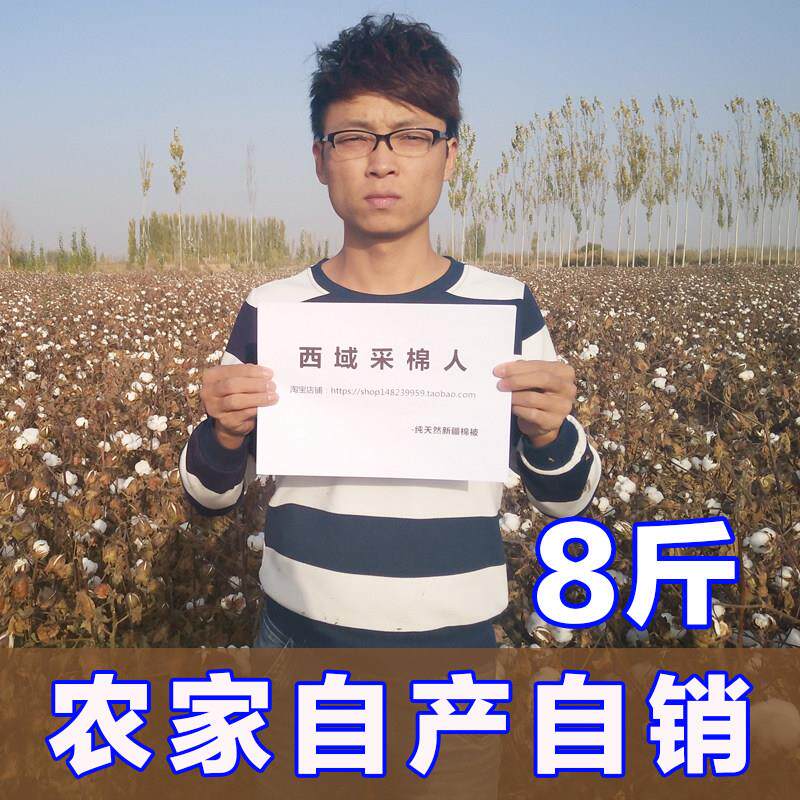 新疆棉花一级优质长绒棉棉絮棉花被8斤特价冬季棉絮床垫加厚保暖