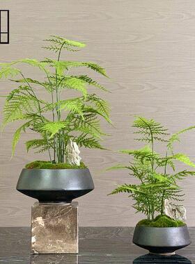 新中国风花卉人造绿色植物盆景样板间客厅售楼处入口植物芦笋盆栽