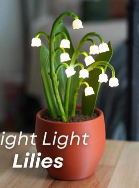 仿真盆栽铃兰夜灯Night Light Lilies