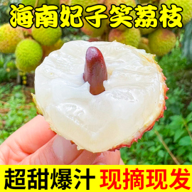 海南妃子笑荔枝5斤新鲜水果当季整箱王孕妇桂现摘早熟荔枝