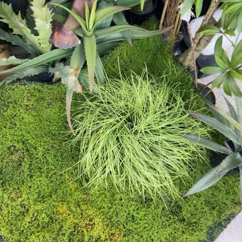 工厂店阻燃植物装饰小草纯草草垛草块草堆地草洋葱草造景园艺摆设