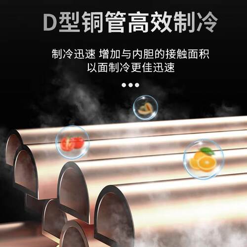 冰柜用家用肉海雪速冻冷藏UGG柜冷冻柜商卧式冷柜大柜型厨房冻雪