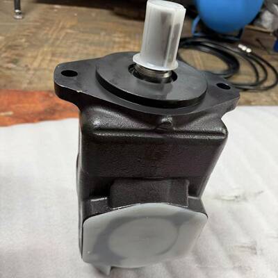 YB1-E32/200,YB1-E63/200,YB1-E50/200,双联叶片泵