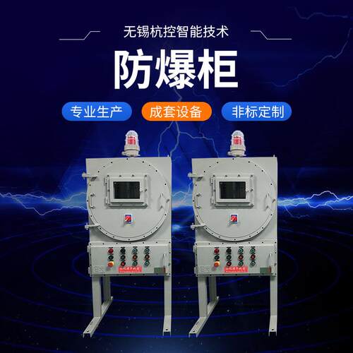 配电箱防爆柜 开关正压型控制柜 不锈钢接线电控柜仪表按钮配电柜