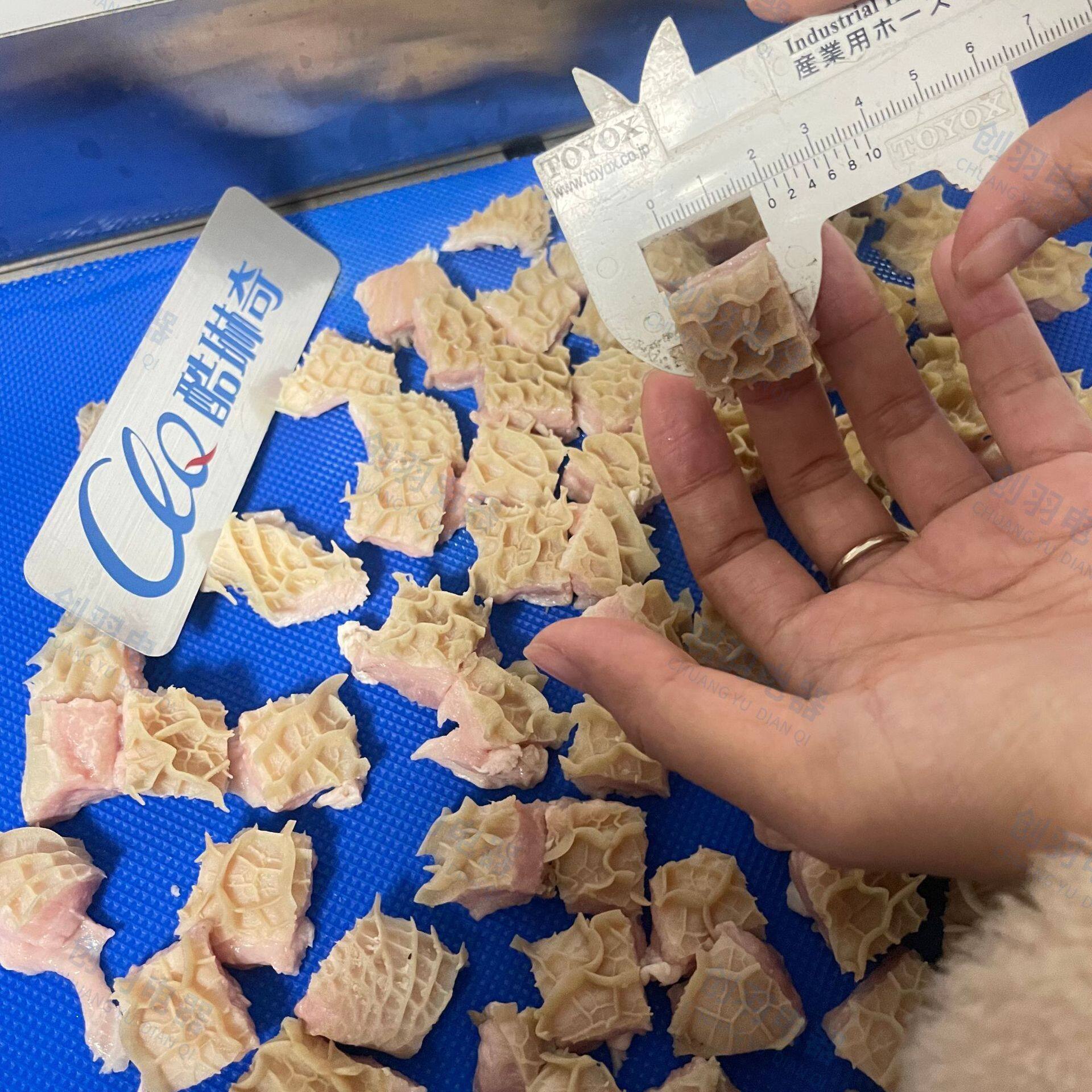 工厂大型牛肚、金钱肚切条机羊毛肚输送式330型切块机切丁机现货