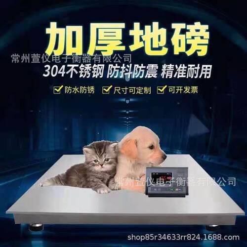 厂家直销1-5T全304不锈钢小地磅平台秤.产品经过拉丝除锈处理防腐