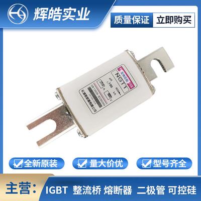 NGT1 250A660V 熔断器 熔断器配件 保险丝 电子元器件