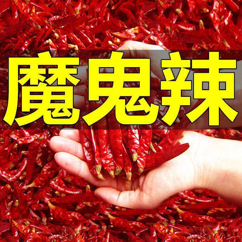 鬼椒面印度魔鬼椒干辣椒超辣特辣特香500g正宗魔鬼辣王段干货