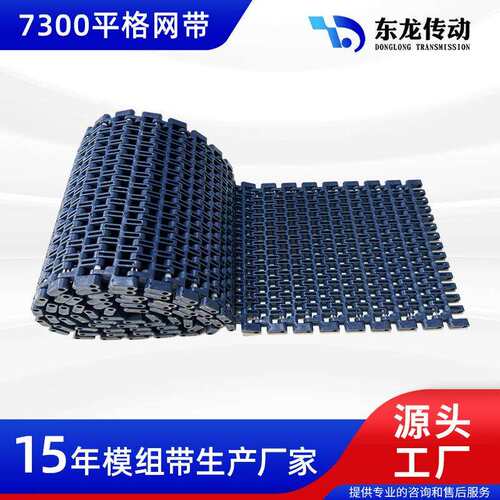 跨境DLTE（东带出口 7300料平格网网链25.4节距食品塑级PP/POM 链