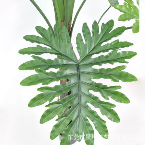 仿真春芋盆栽仿生奢绿植端喜林芋轻室摆内高外JK—仿真造景橱窗装