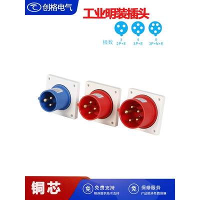 反针式工业明装插头32A3P4P5芯器具插座暗装直式插头防护等级IP44