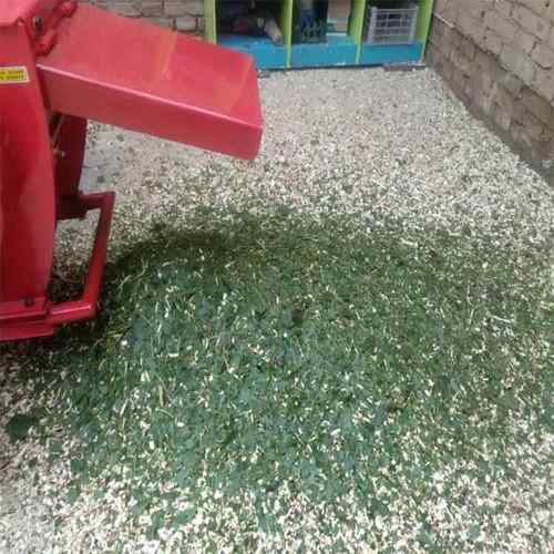 果园树枝回田粉碎机鲜树枝青竹子破碎机秸秆粉碎木糠机