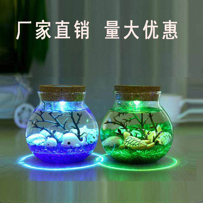微景观生态软木塞玻璃DIY水培创意家居多肉苔藓花球藻盆栽