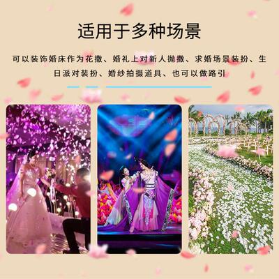花瓣机婚礼现场撒花机酒吧清吧店庆飘花机舞台亮片彩纸机婚礼道具