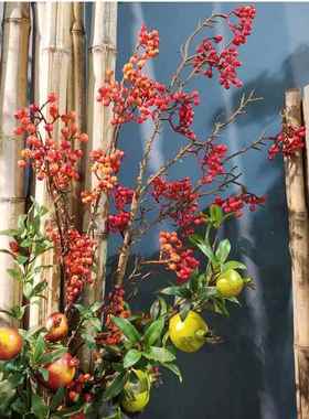 大枝仿真冬青北美真冬单支仿浆果红青果豆果实枝JQ-58302花艺装饰